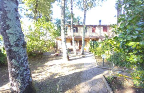 Appartamento in villa con giardino privato Via dei Tigli, 61 Valentano Loc. “I Felceti”